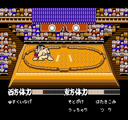 Terao no Dosukoi Oozumou (Japan) In game screenshot